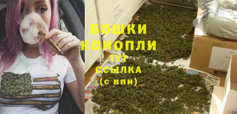 как найти закладки  Венёв  Шишки марихуана SATIVA & INDICA 